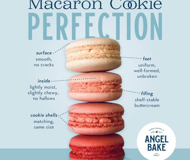 The Angel Bake Macaron Anatomy