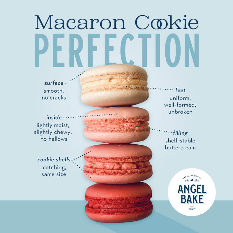 Anatomy of the Angel Bake French Macaron