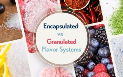 Encapsulated vs Granulated Flavor: Choosing a Dry Format